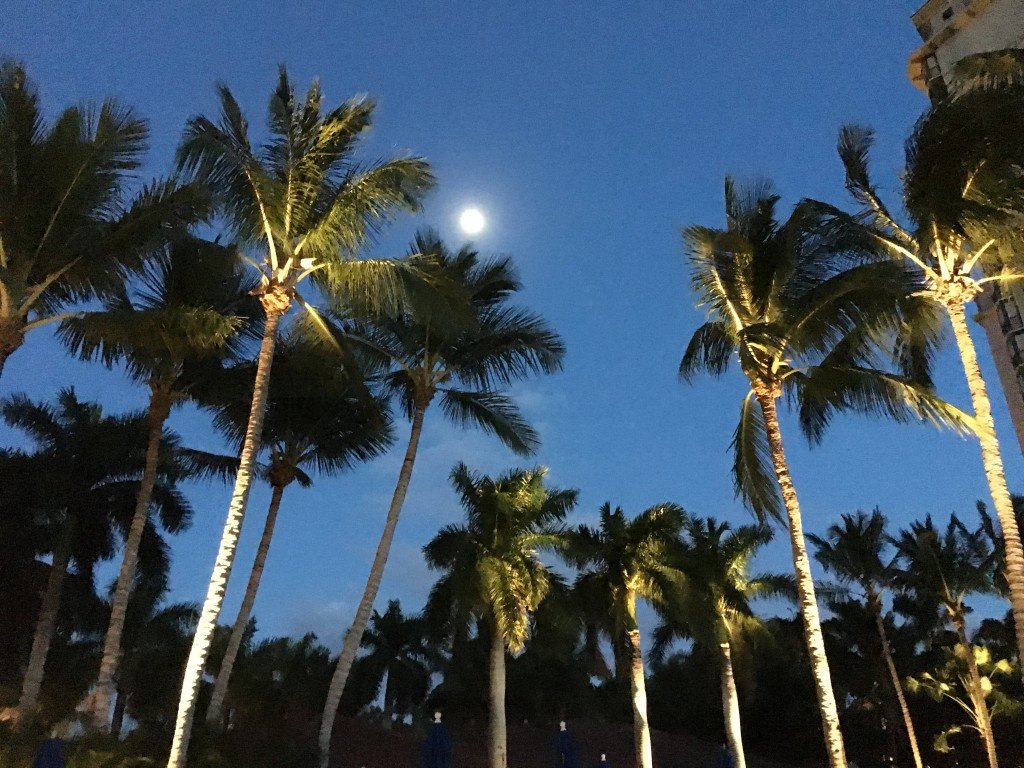 Beach vacation