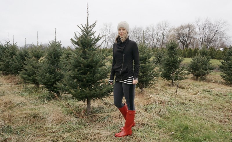 Christmas tree farm