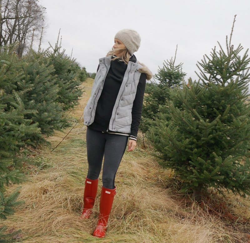 Christmas tree farm