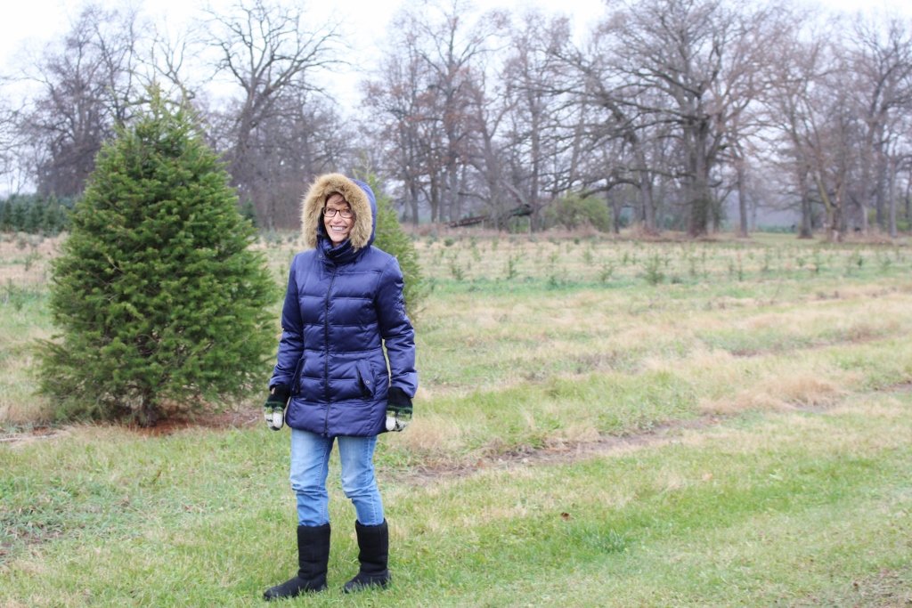 Christmas tree farm