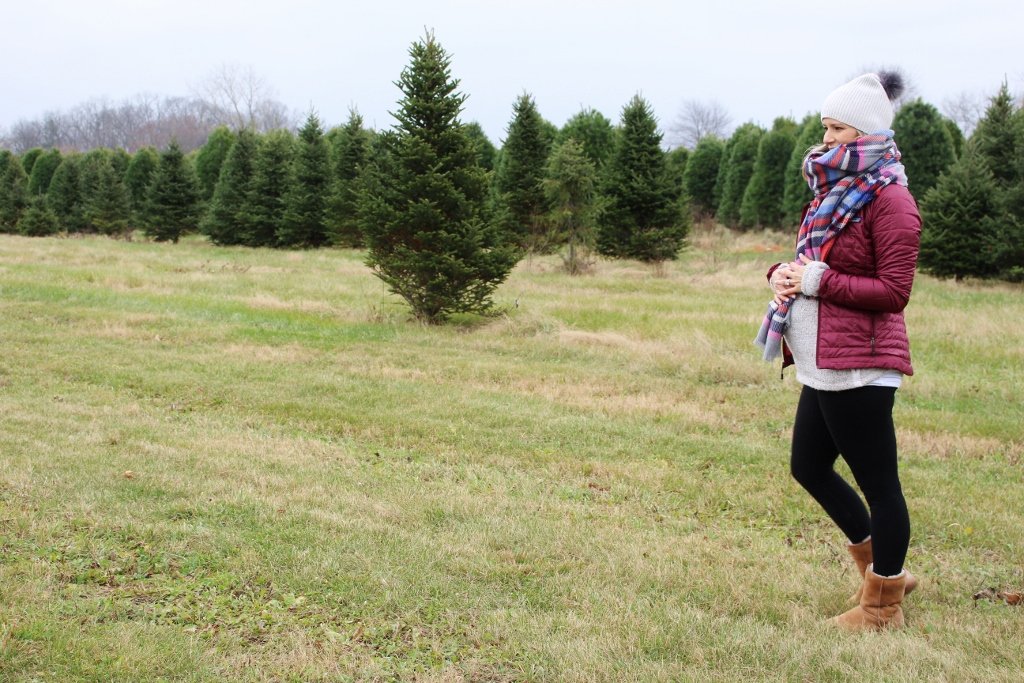Christmas tree farm