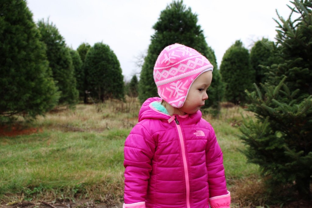Christmas tree farm with kids