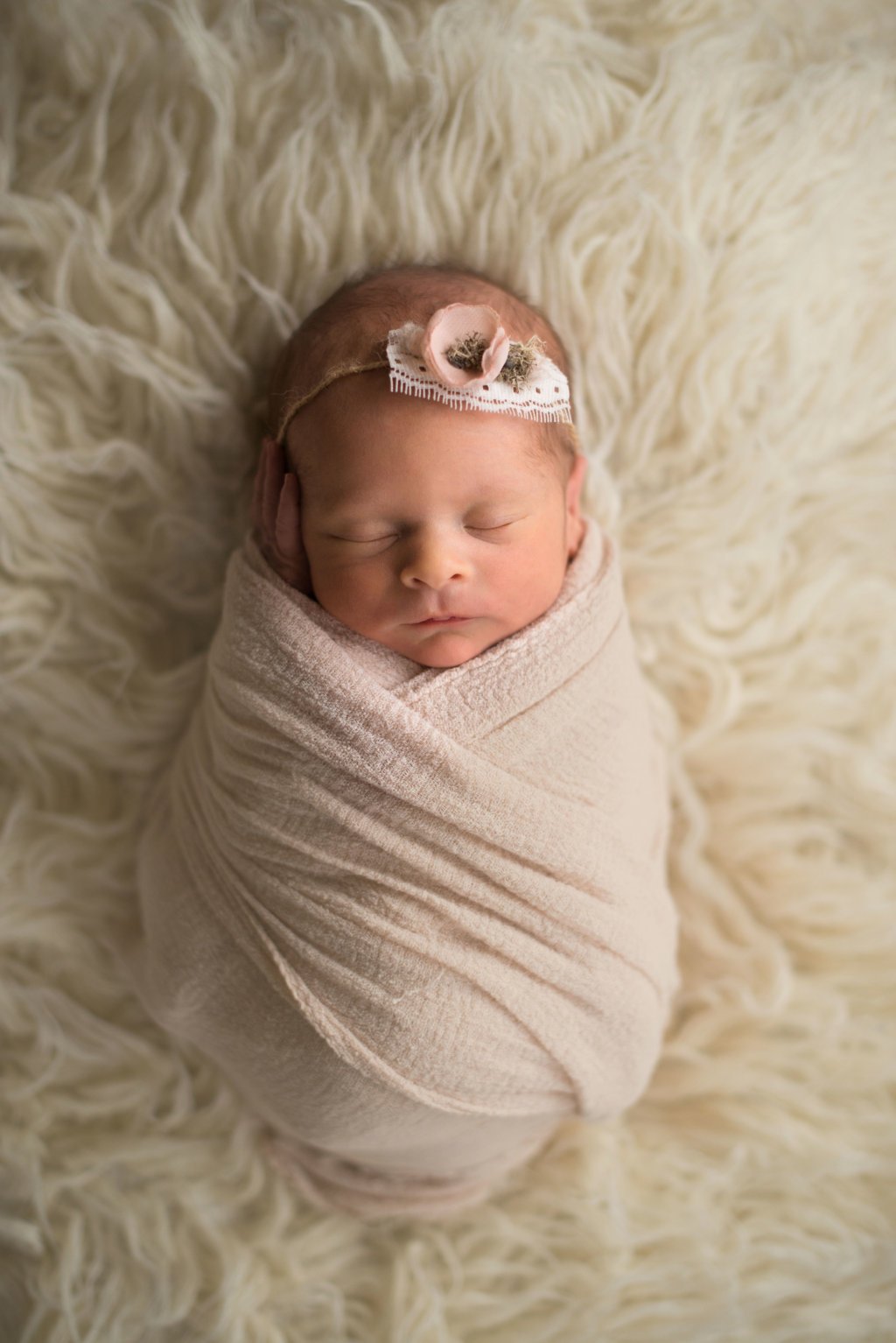 Family photos, newborn