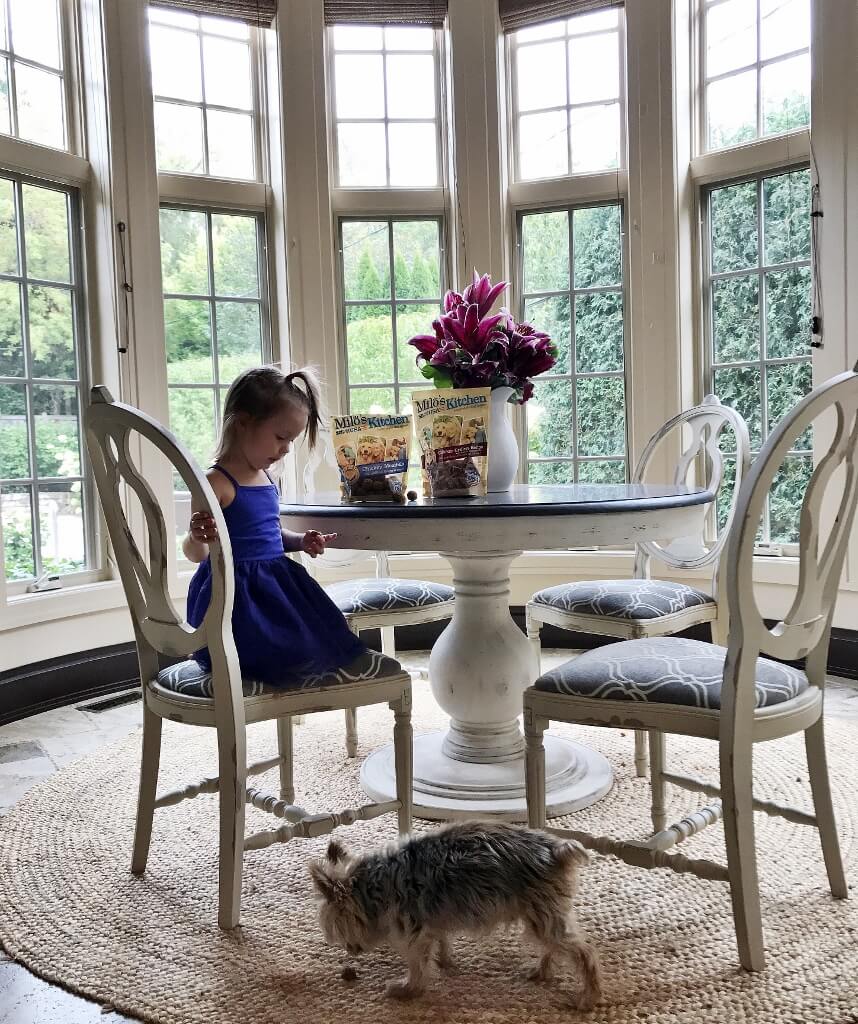 Tips for dogs and babies