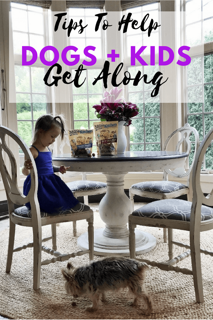 Tips for dogs and babies