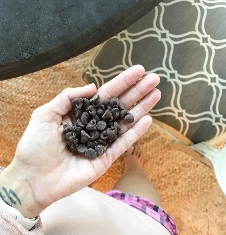 3 day food diary--chocolate chips