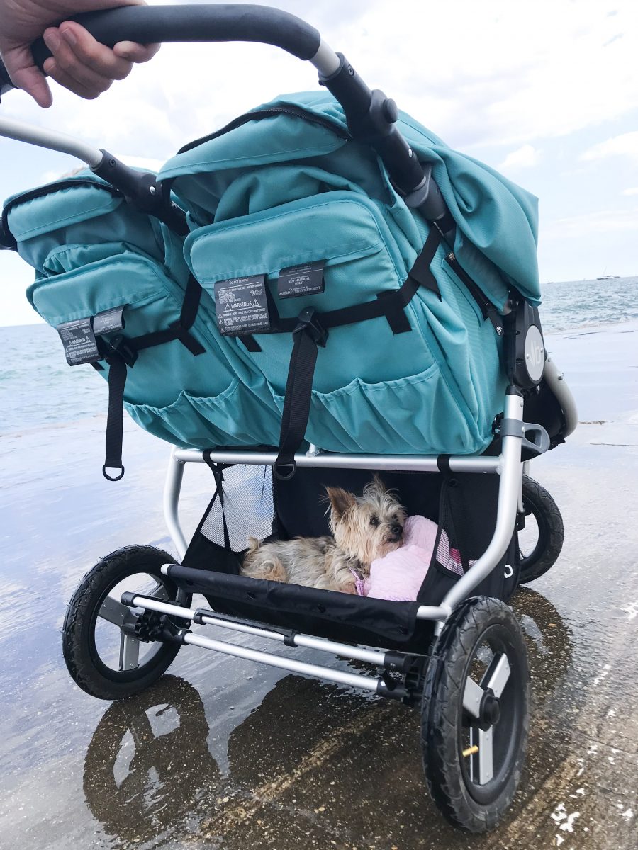 Birthday weekend in Chicago with kids