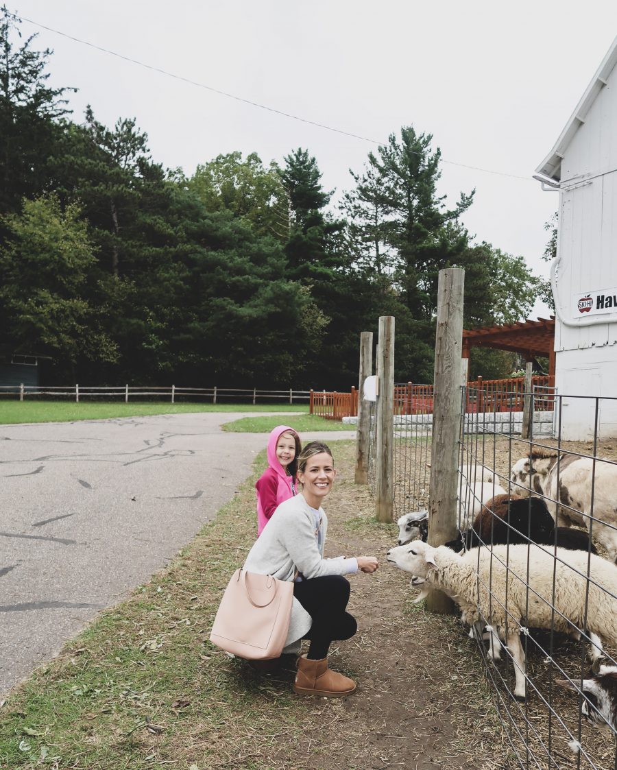 Fall weekend in Wisconsin, petting zoo