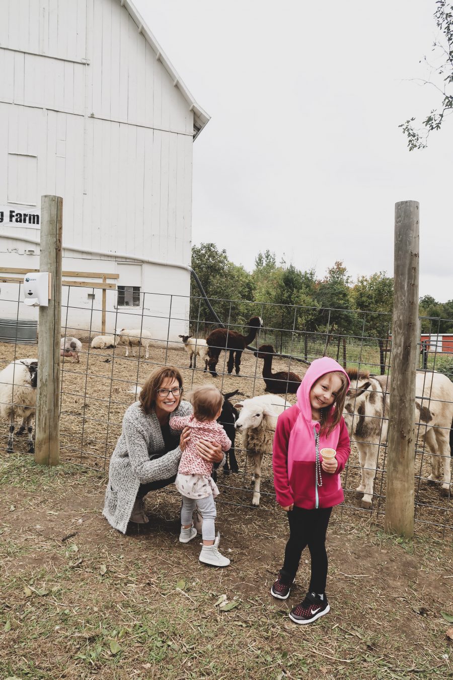 Fall weekend in Wisconsin, petting zoo