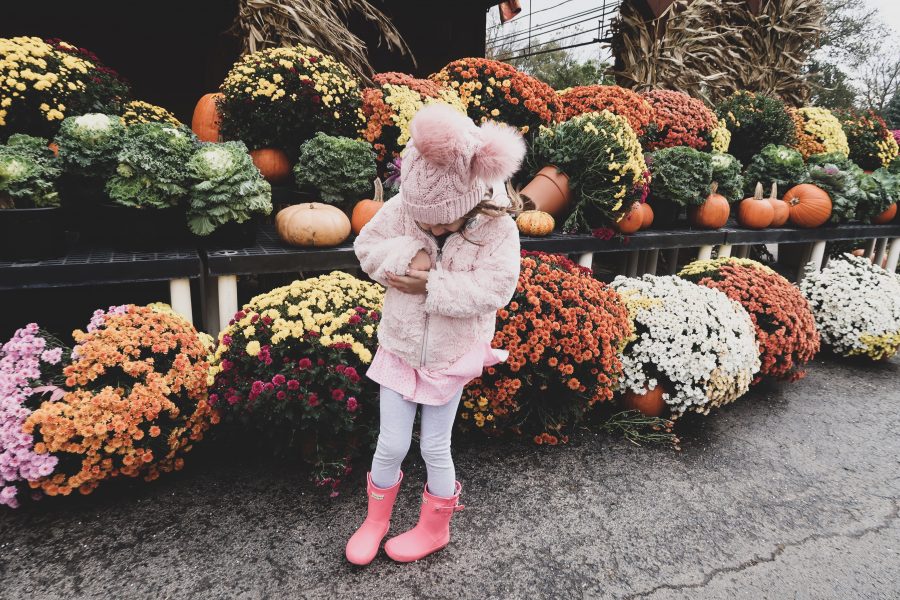 Pumpkin patch with kids