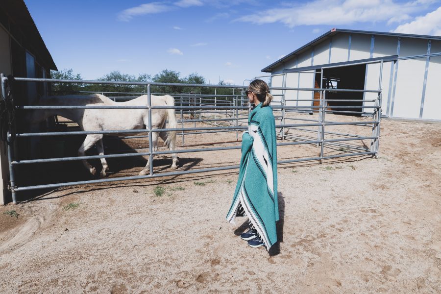 Miraval equine therapy