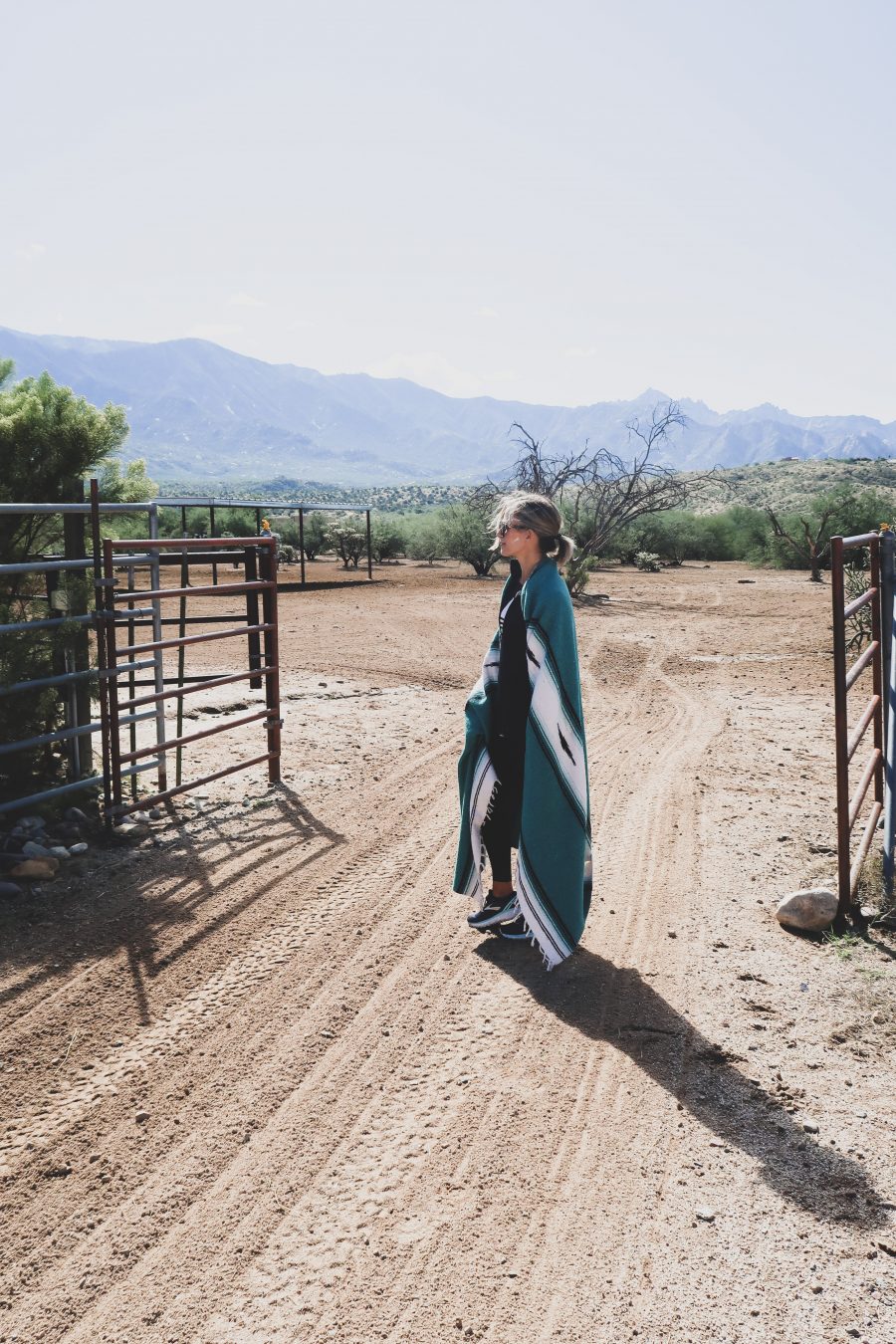 Miraval equine therapy
