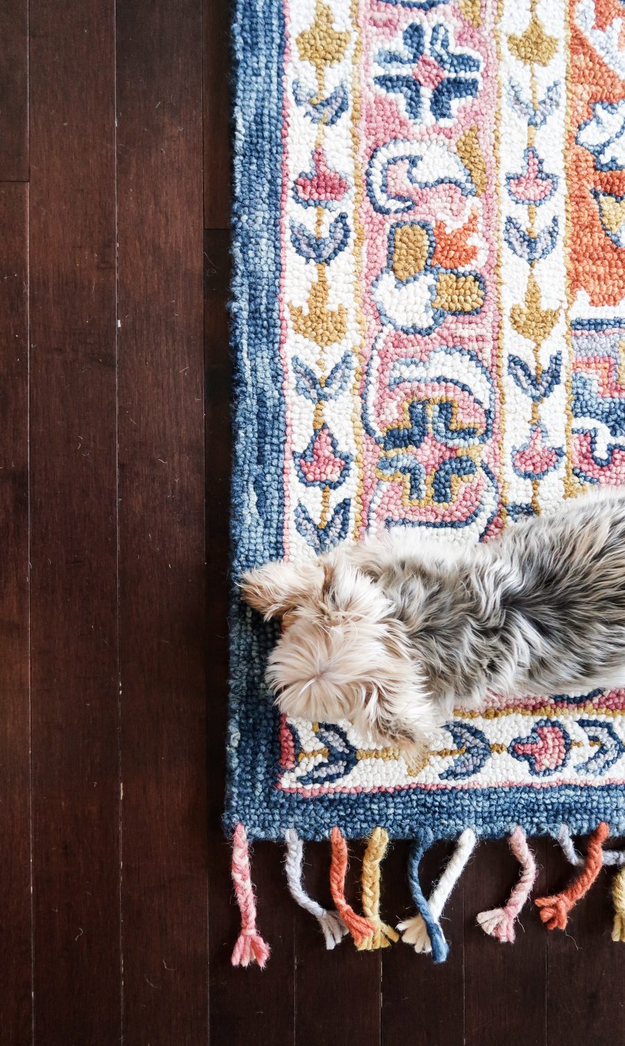 Statement rug