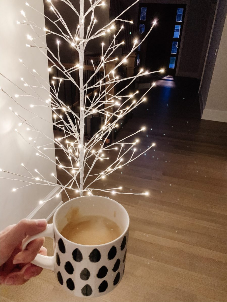 Friday Five LED Birch Tree