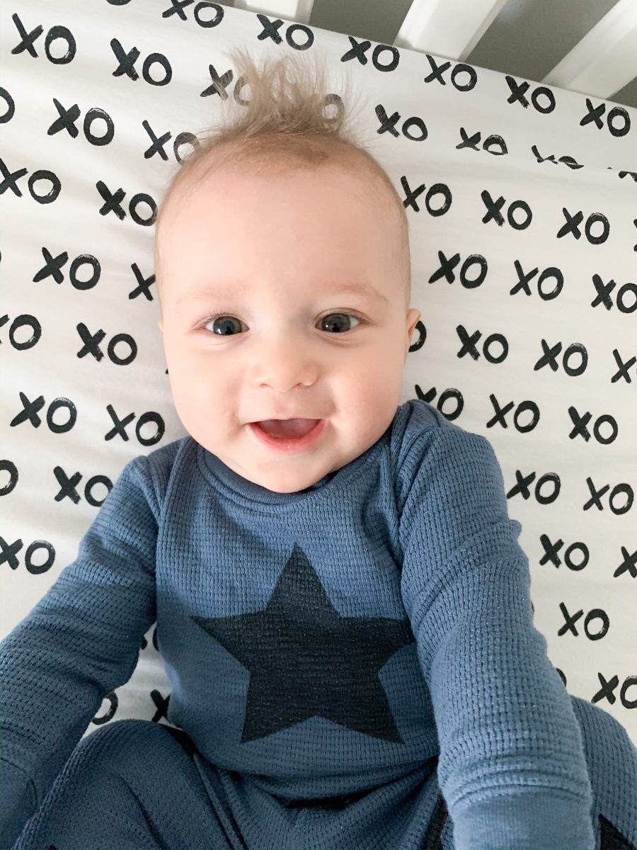 Baby Gray | 6 Month Update