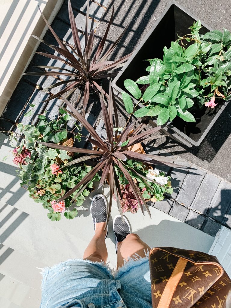 Planting flowers in pots, tips and tricks