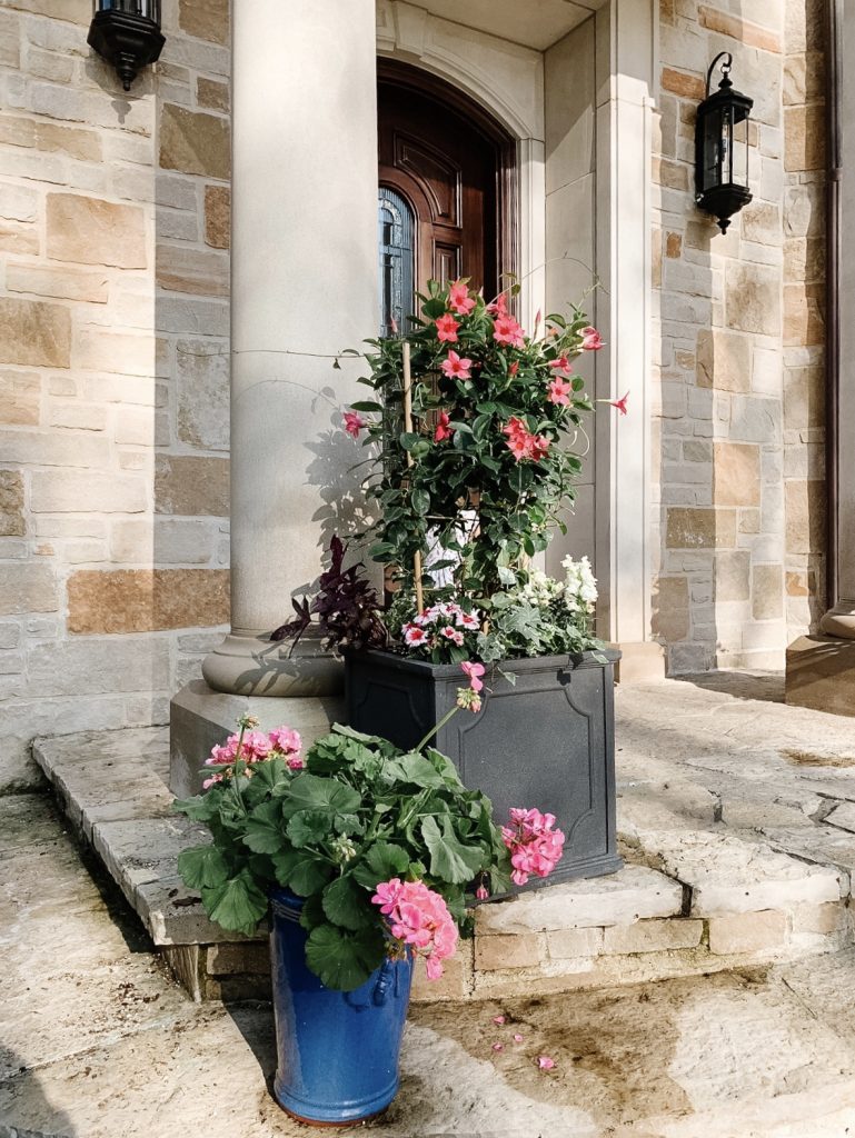 Planting flowers in pots, tips and tricks