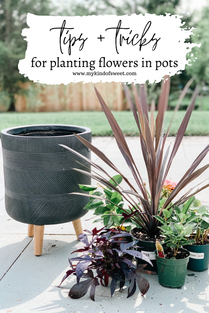 Planting flowers in pots, tips and tricks