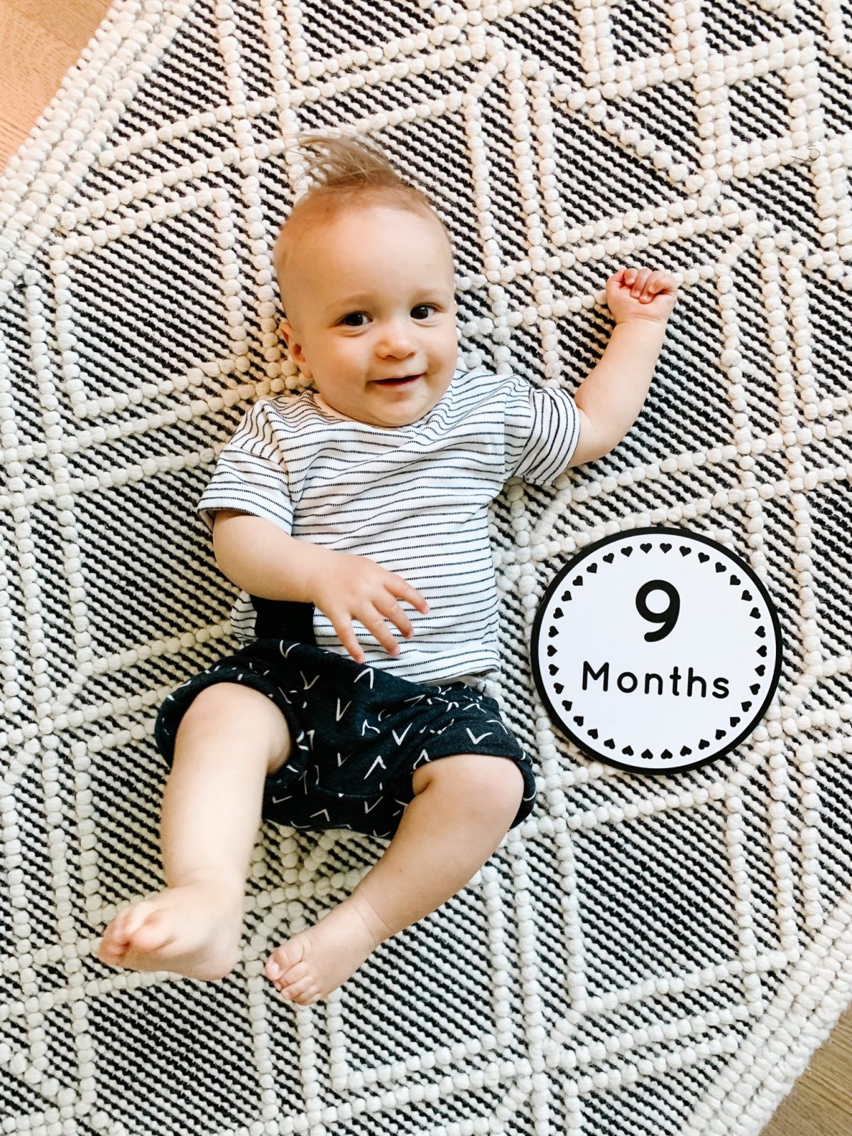Baby Gray | 9 Month Update