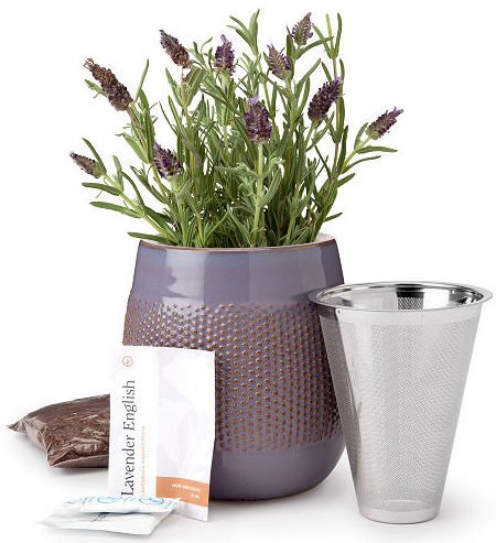 Holiday gift guide, gifts for Mom and Mother in Law