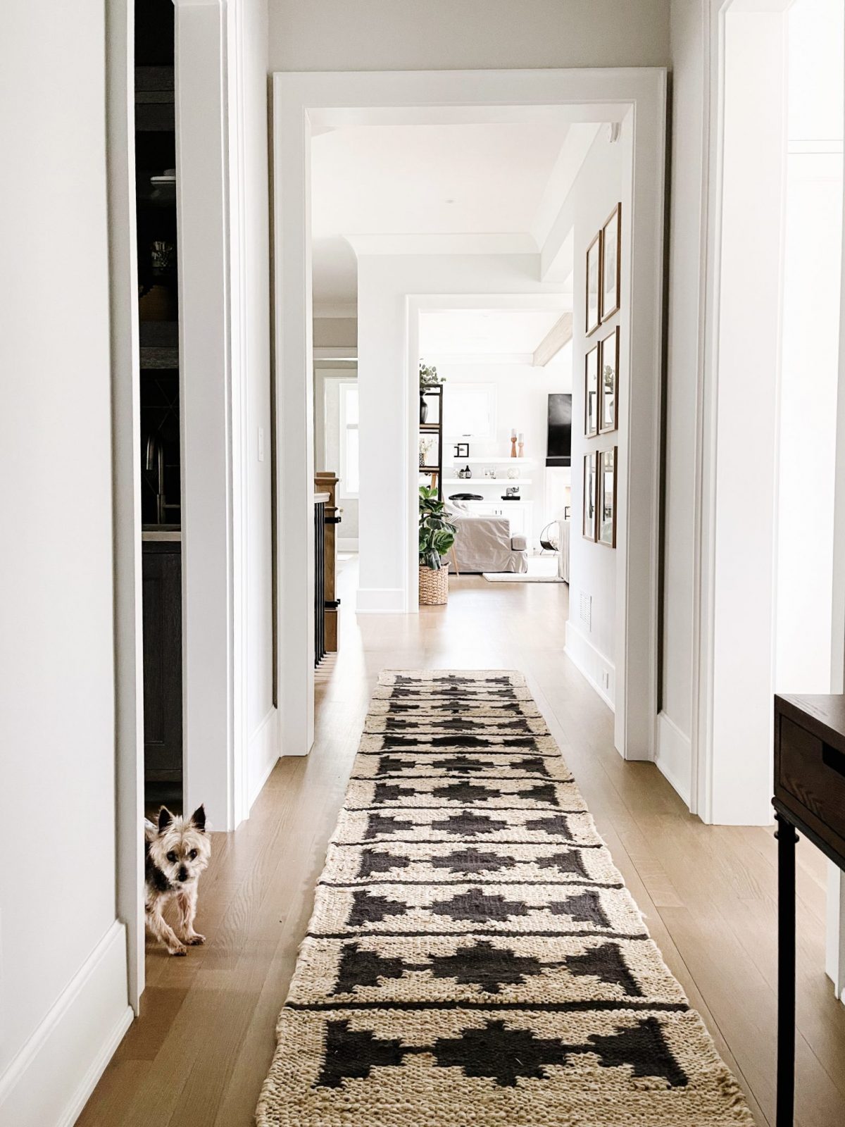 Our Rugs