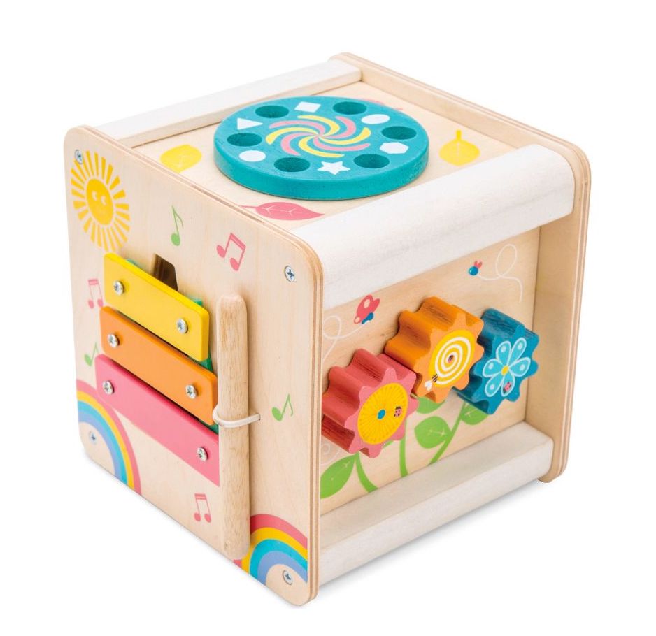 Petit Activity Cube