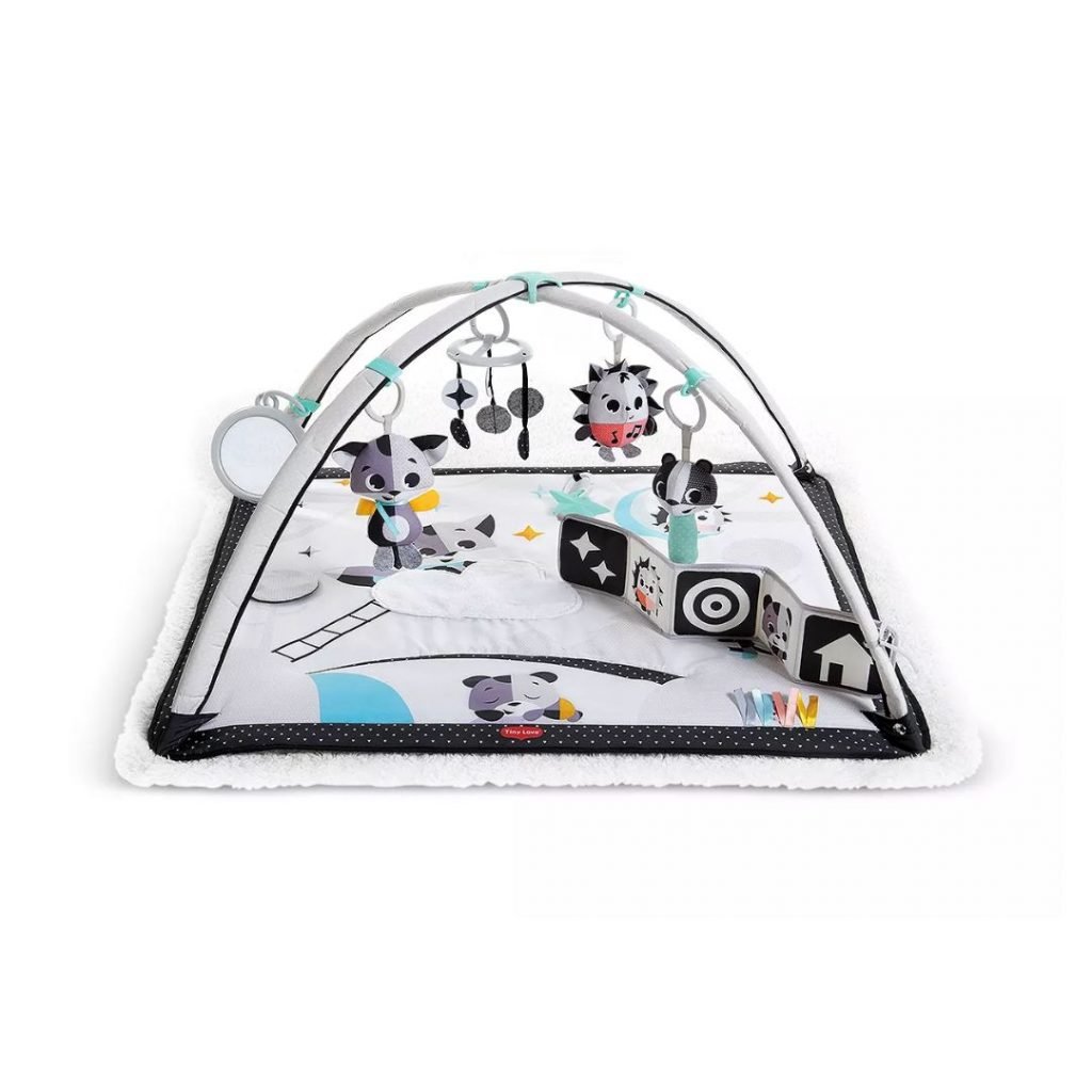 Tiny Love baby activity gym