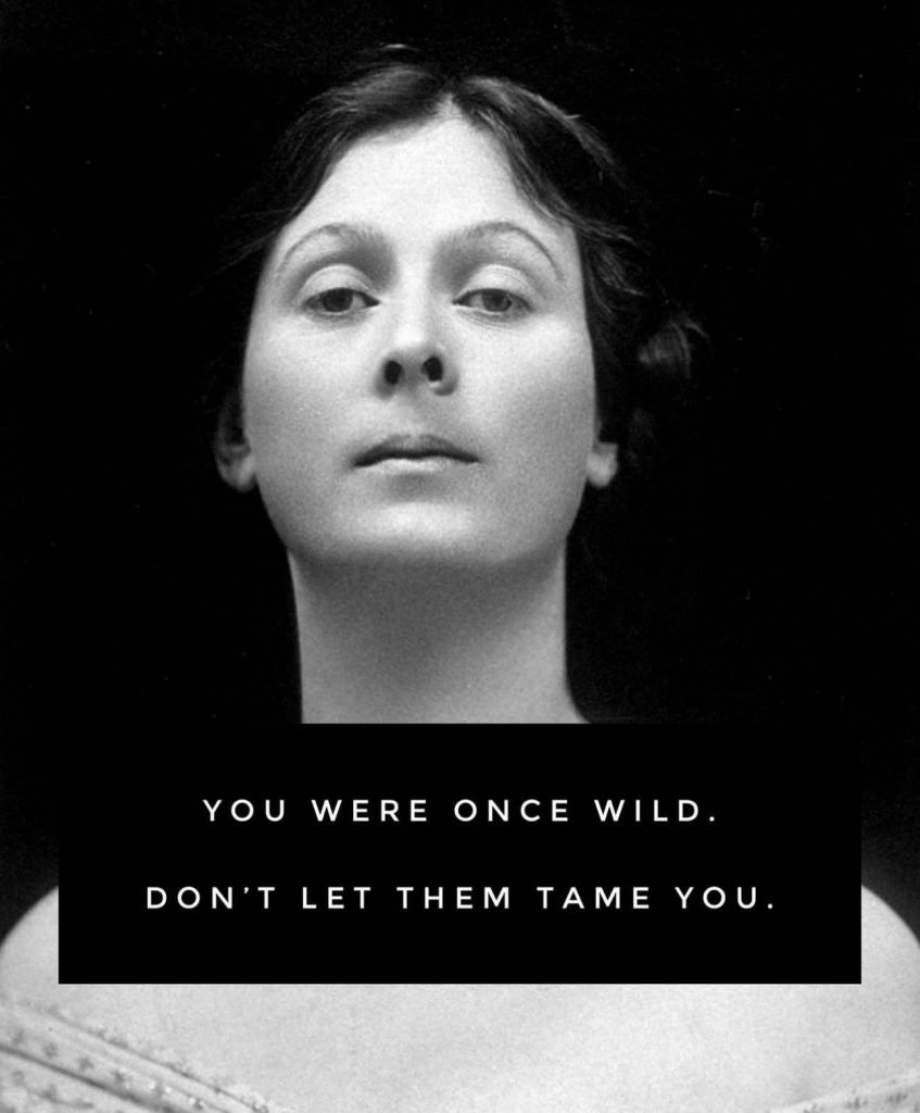 A graphic that says, "You were once wild. Don't let them tame you."