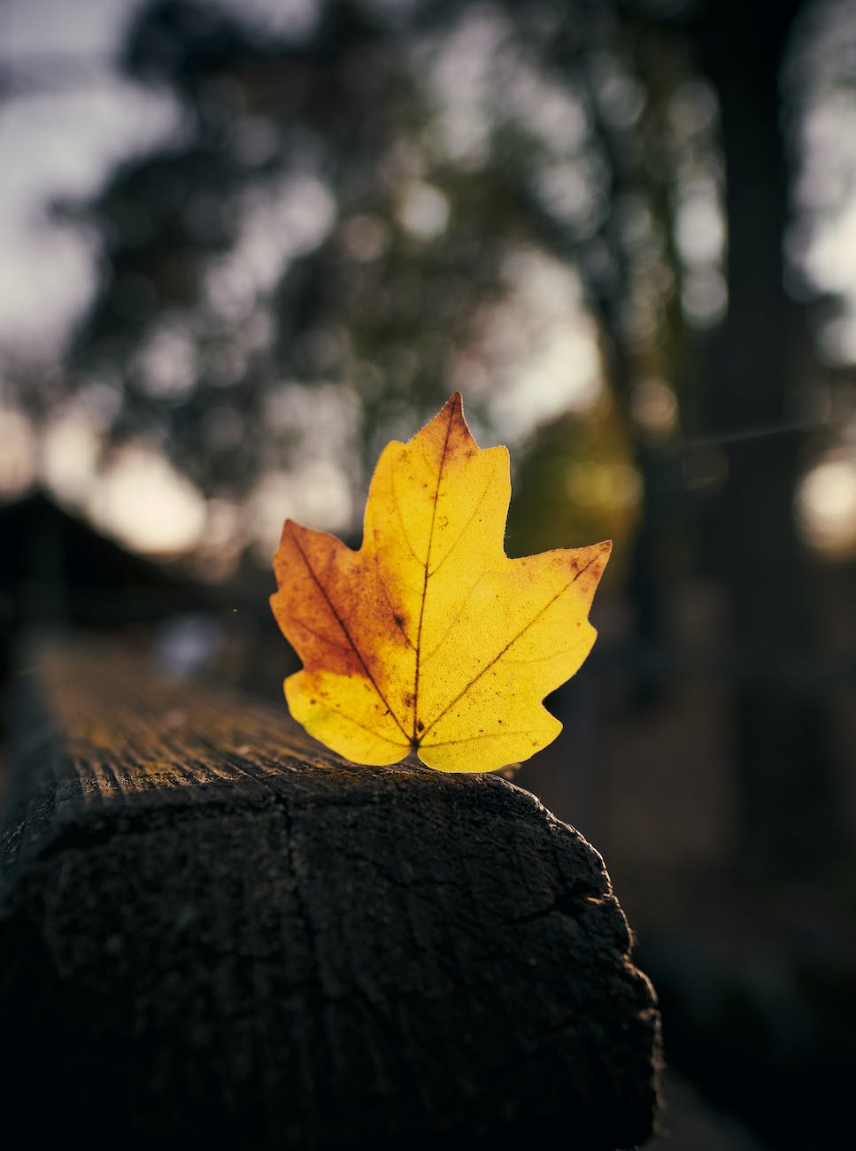 Fall Sober First Checklist